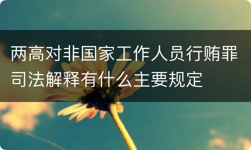 两高对非国家工作人员行贿罪司法解释有什么主要规定