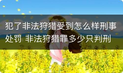 犯了非法狩猎受到怎么样刑事处罚 非法狩猎罪多少只判刑
