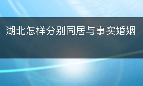 湖北怎样分别同居与事实婚姻