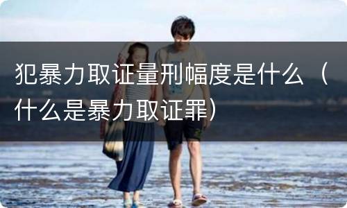 犯暴力取证量刑幅度是什么（什么是暴力取证罪）