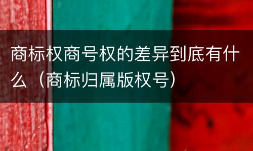 商标权商号权的差异到底有什么（商标归属版权号）
