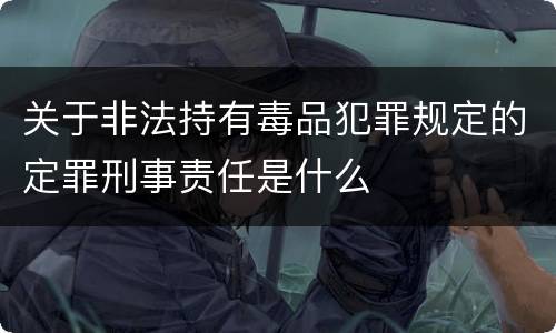 关于非法持有毒品犯罪规定的定罪刑事责任是什么