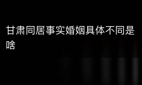 甘肃同居事实婚姻具体不同是啥