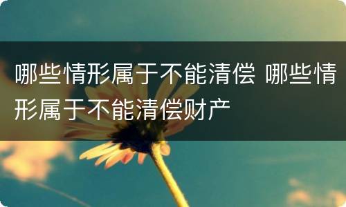 哪些情形属于不能清偿 哪些情形属于不能清偿财产