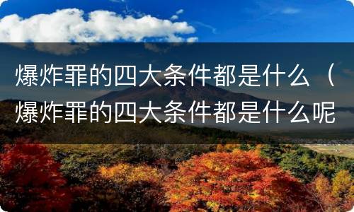 爆炸罪的四大条件都是什么（爆炸罪的四大条件都是什么呢）