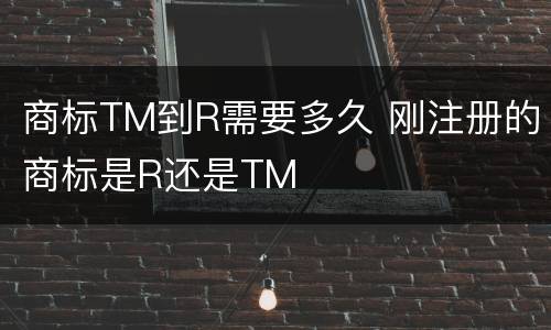 商标TM到R需要多久 刚注册的商标是R还是TM