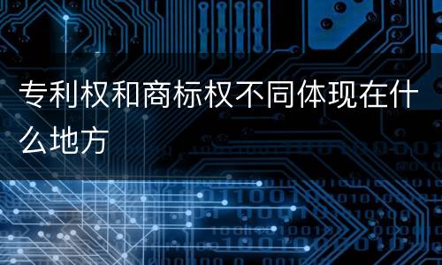 专利权和商标权不同体现在什么地方