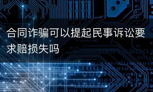 合同诈骗可以提起民事诉讼要求赔损失吗