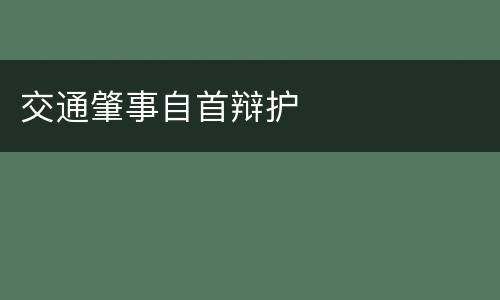 交通肇事自首辩护