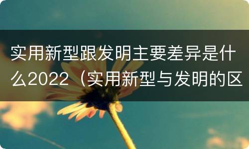 实用新型跟发明主要差异是什么2022（实用新型与发明的区别是什么）