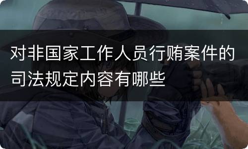 对非国家工作人员行贿案件的司法规定内容有哪些