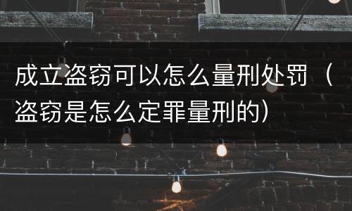 成立盗窃可以怎么量刑处罚（盗窃是怎么定罪量刑的）