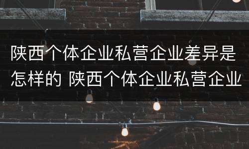 陕西个体企业私营企业差异是怎样的 陕西个体企业私营企业差异是怎样的呢