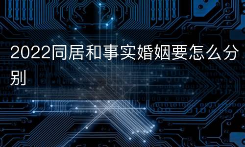 2022同居和事实婚姻要怎么分别