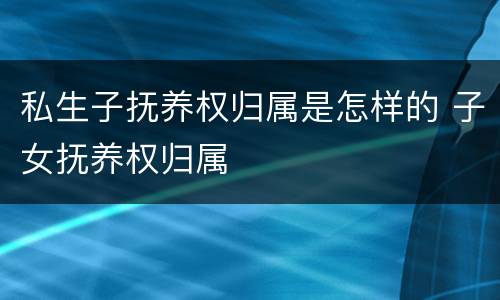 私生子抚养权归属是怎样的 子女抚养权归属