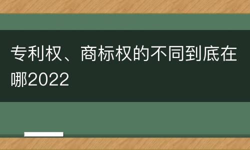 专利权、商标权的不同到底在哪2022
