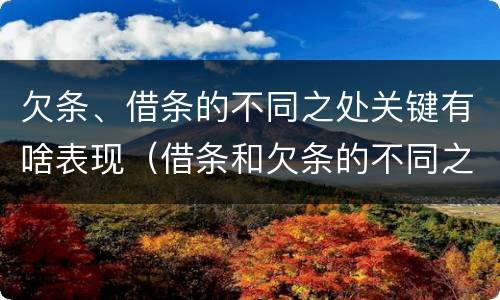 欠条、借条的不同之处关键有啥表现（借条和欠条的不同之处）