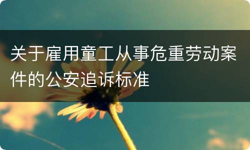 关于雇用童工从事危重劳动案件的公安追诉标准