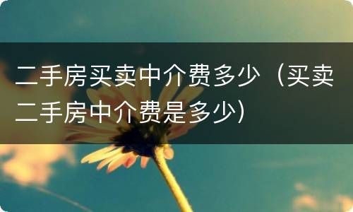 二手房买卖中介费多少（买卖二手房中介费是多少）