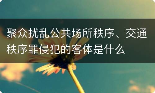 聚众扰乱公共场所秩序、交通秩序罪侵犯的客体是什么