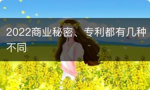 2022商业秘密、专利都有几种不同