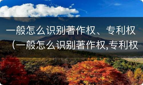 一般怎么识别著作权、专利权（一般怎么识别著作权,专利权是什么）