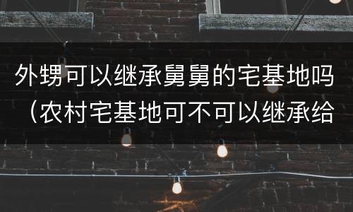 外甥可以继承舅舅的宅基地吗（农村宅基地可不可以继承给外甥女）