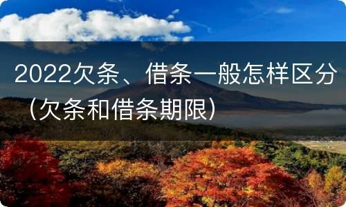 2022欠条、借条一般怎样区分（欠条和借条期限）