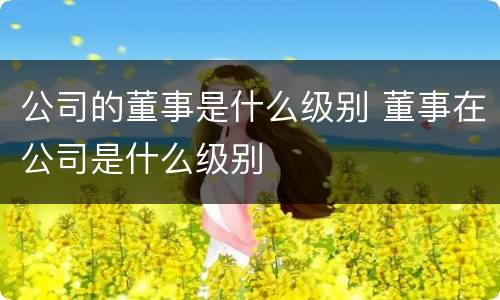 公司的董事是什么级别 董事在公司是什么级别