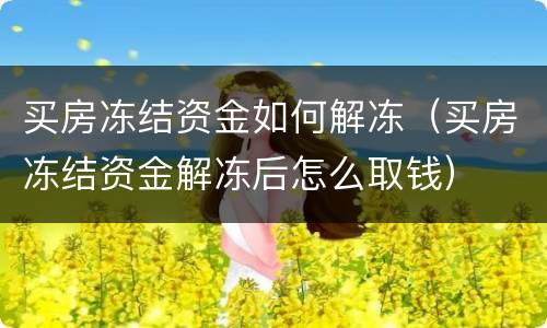 买房冻结资金如何解冻（买房冻结资金解冻后怎么取钱）