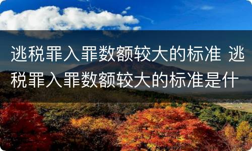 逃税罪入罪数额较大的标准 逃税罪入罪数额较大的标准是什么