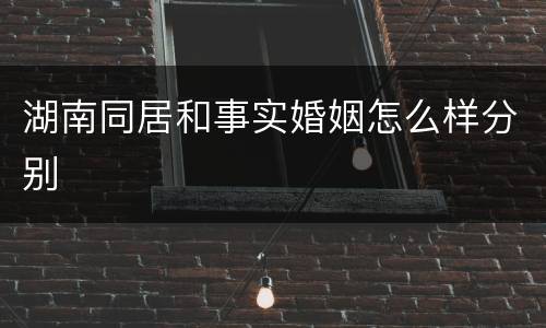 湖南同居和事实婚姻怎么样分别