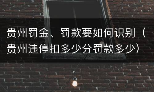 贵州罚金、罚款要如何识别（贵州违停扣多少分罚款多少）
