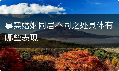 事实婚姻同居不同之处具体有哪些表现