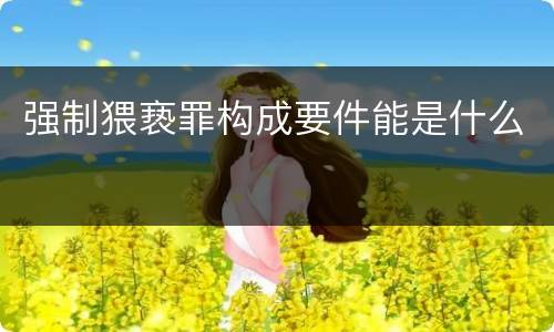 强制猥亵罪构成要件能是什么