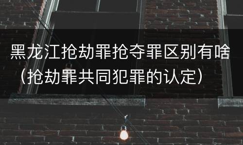 黑龙江抢劫罪抢夺罪区别有啥（抢劫罪共同犯罪的认定）