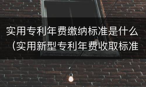 实用专利年费缴纳标准是什么（实用新型专利年费收取标准）