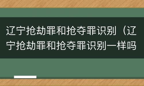 辽宁抢劫罪和抢夺罪识别（辽宁抢劫罪和抢夺罪识别一样吗）