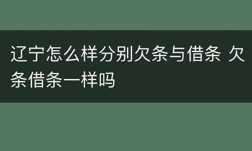 辽宁怎么样分别欠条与借条 欠条借条一样吗