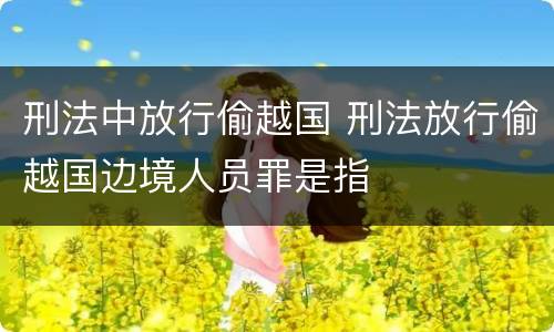 刑法中放行偷越国 刑法放行偷越国边境人员罪是指