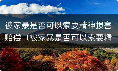 被家暴是否可以索要精神损害赔偿（被家暴是否可以索要精神损害赔偿金额）