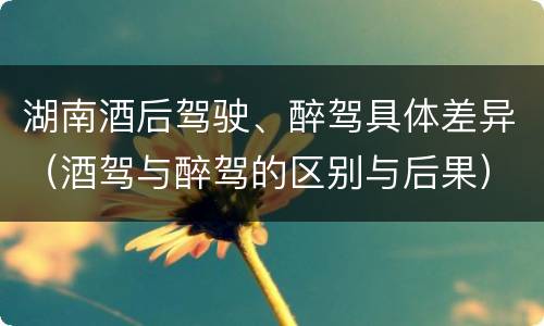 湖南酒后驾驶、醉驾具体差异（酒驾与醉驾的区别与后果）