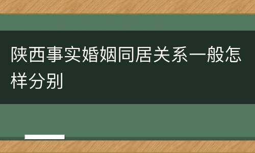 陕西事实婚姻同居关系一般怎样分别