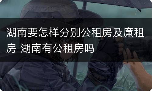 湖南要怎样分别公租房及廉租房 湖南有公租房吗