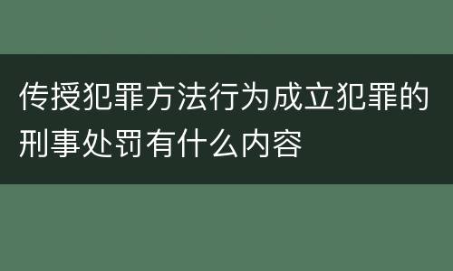 传授犯罪方法行为成立犯罪的刑事处罚有什么内容