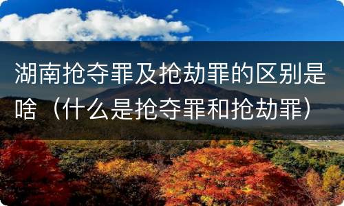 湖南抢夺罪及抢劫罪的区别是啥（什么是抢夺罪和抢劫罪）