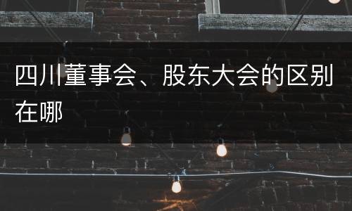 四川董事会、股东大会的区别在哪