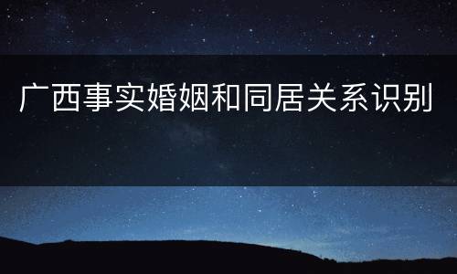 广西事实婚姻和同居关系识别