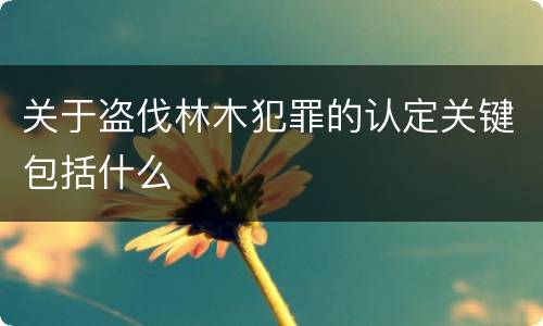 关于盗伐林木犯罪的认定关键包括什么