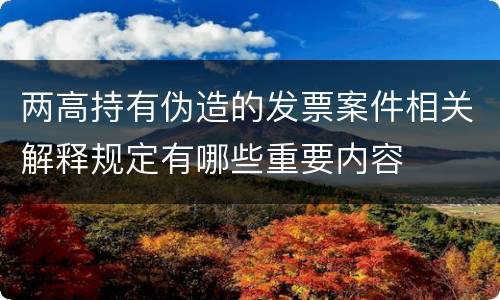 两高持有伪造的发票案件相关解释规定有哪些重要内容